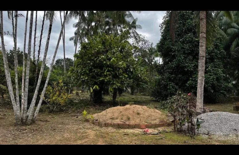 Vendo esse terreno. - Foto 3