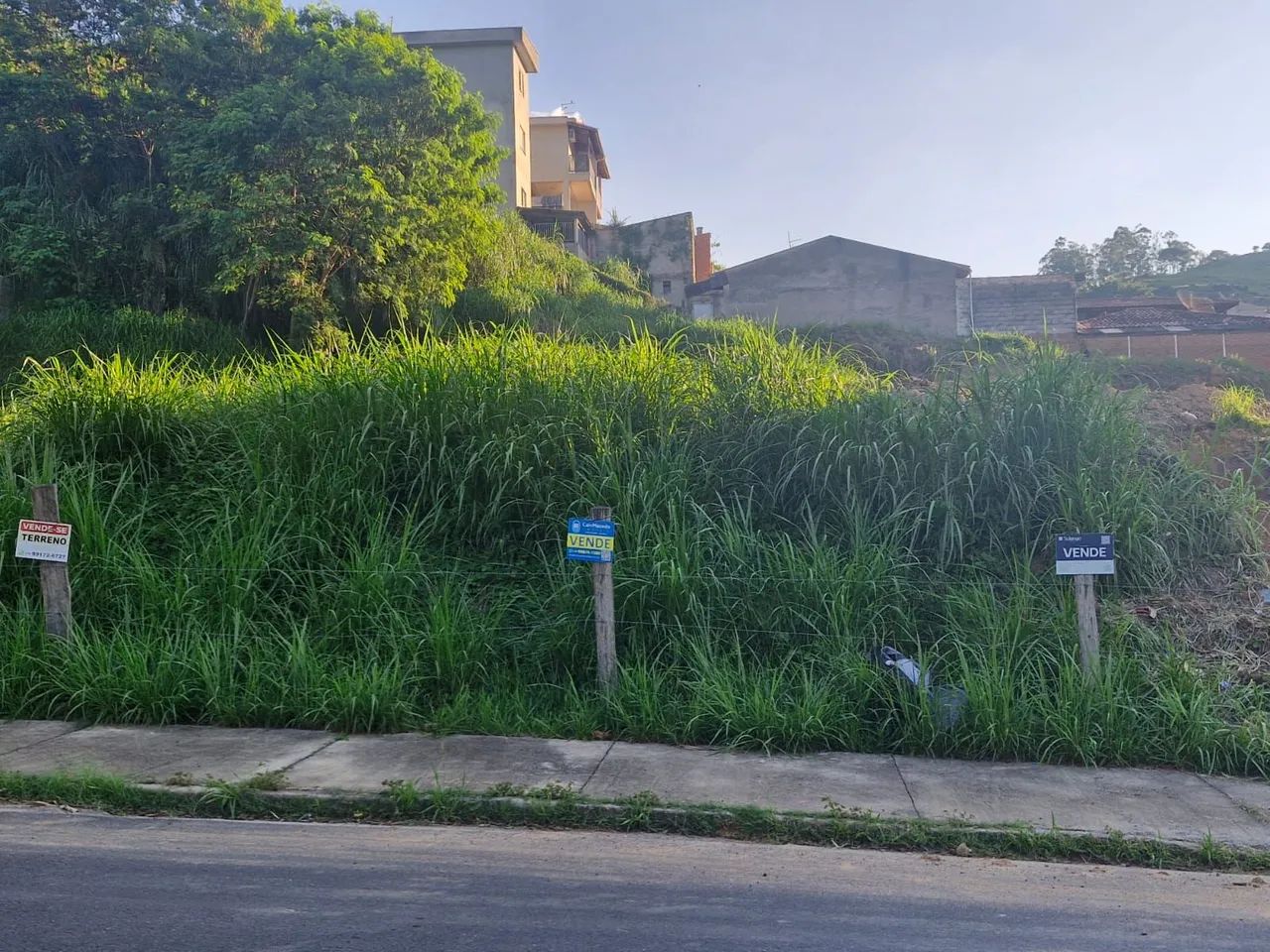 Foto - Amparo - Parque Dona Virgínia
