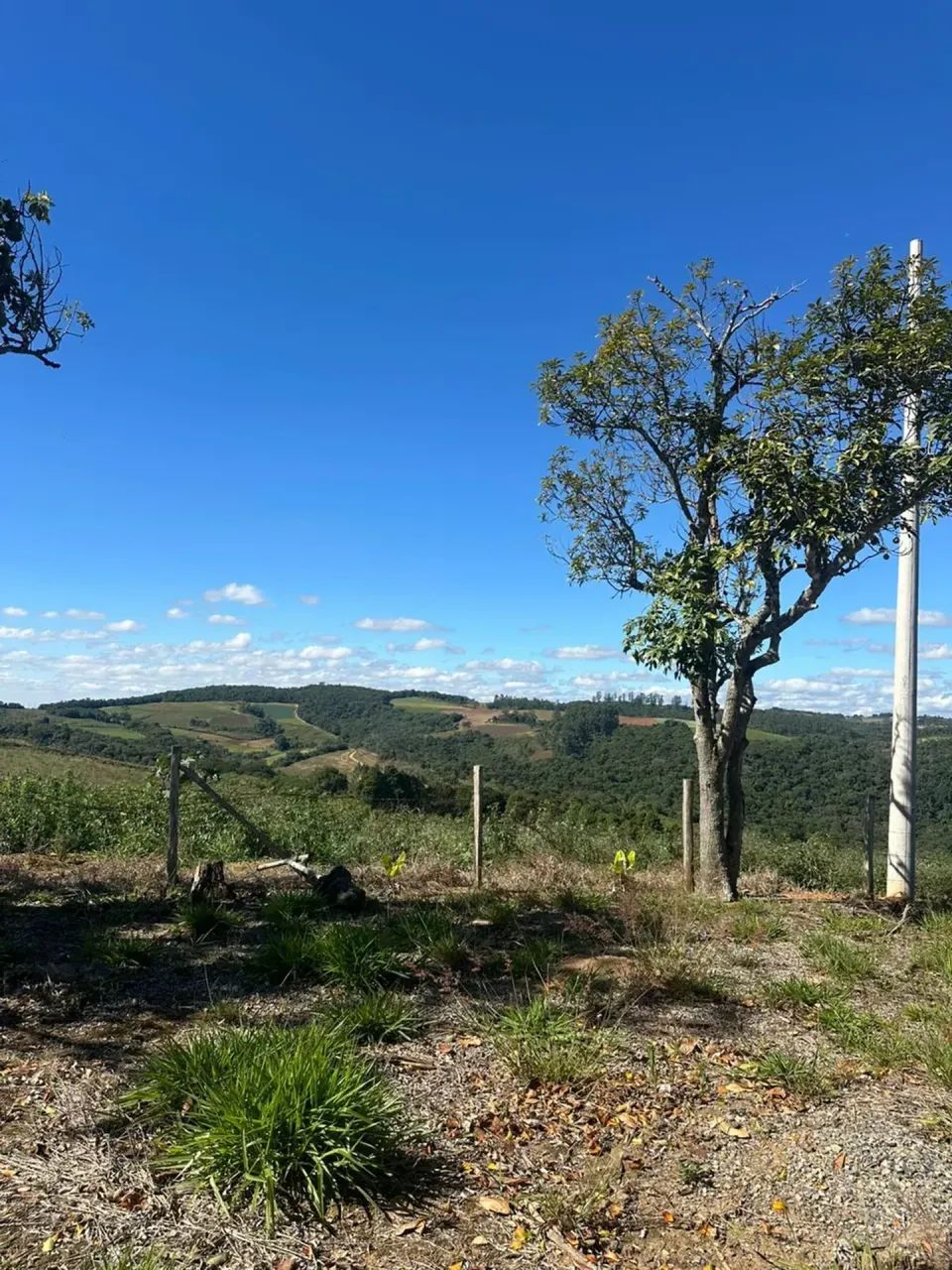 Seu Refúgio em Ibiúna | Lotes de 500m² próximo ao Centro - Foto 3
