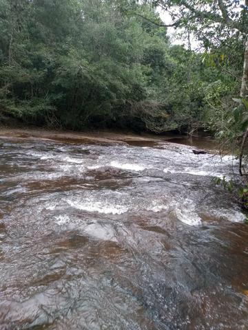 Fazenda de lavoura em Ponta Porã MS - Foto 2