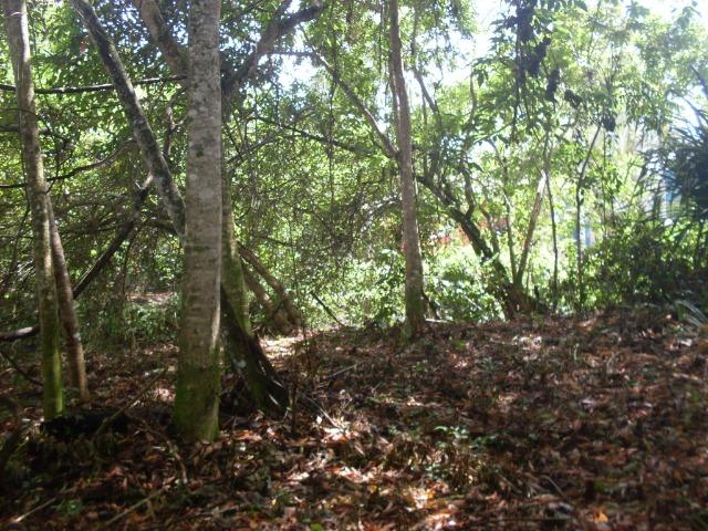 Terreno na Rodovia / Ilhéus/Itacaré - Km 25 Loteamento Luzimares Quadra 04 - Lote 32 - Foto 12