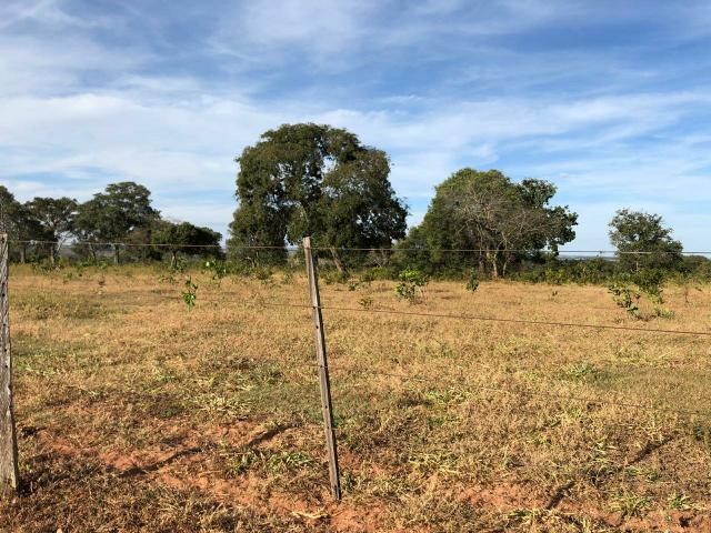 Inocencia MT 350000 - Foto 4