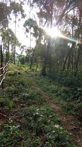Chácara em Araucária, asfaltada, aceito trocas - Foto 2