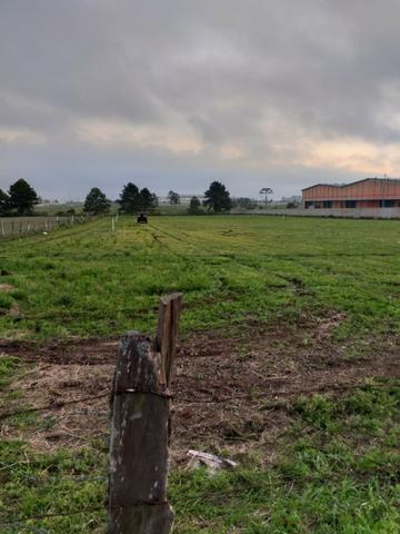 Vendo áreas lindas Costeira São José dos Pinhais Direto proprietario - Foto 3