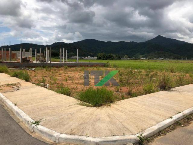 Terreno à venda, loteamento jardim europa, 575 m² - santa regina - camboriú/sc