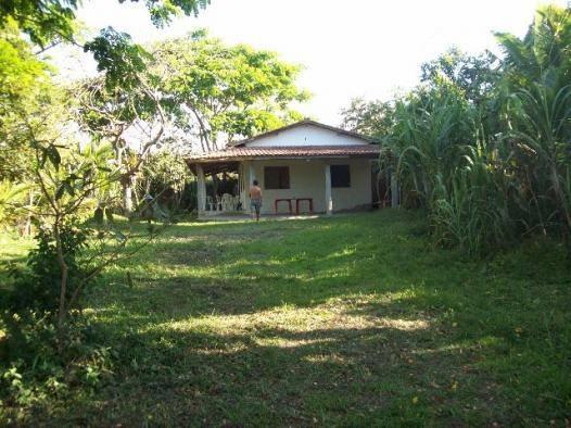Sítio todo murado com área de 3000 m² - Foto 4