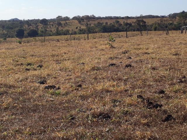 Fazenda 83 alqueires - Inocêncio-MS - F100619 - Foto 9
