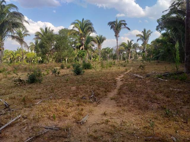 Chácara 7,hac beira do rio municípi de rosario - Foto 8