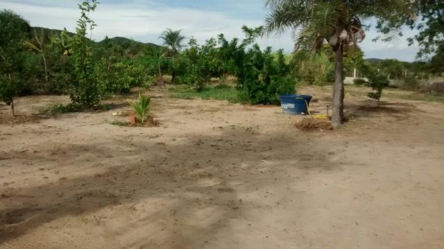 Sitio. - Foto 6