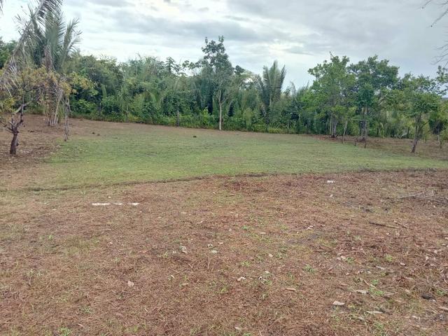 Venda de um sítio em Bacabeira.zap 98( * - Foto 2