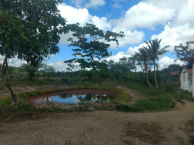 Propriedade de 13.5 hectares, escriturada, entre Glória do Goitá e Pombos-PE - Foto 14