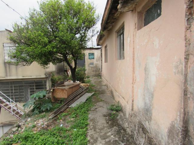Rm imóveis vende excelente lote no caiçara, ótima localização! - Foto 2