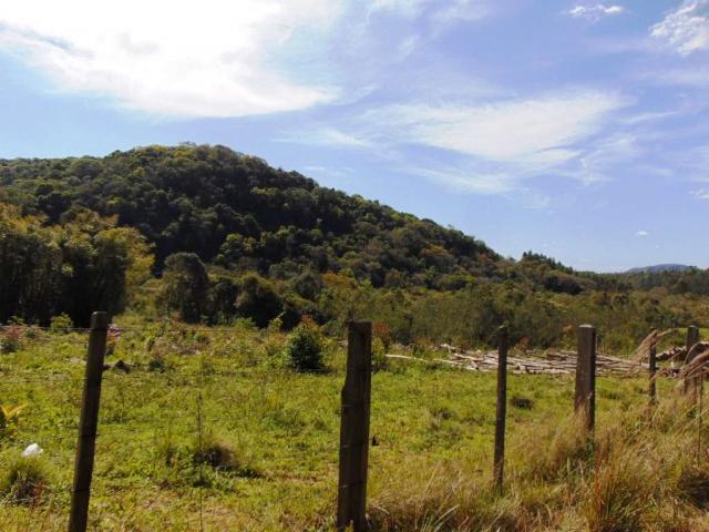 Área de Terras em Muda Boi em Montenegro - 03 - Foto 9