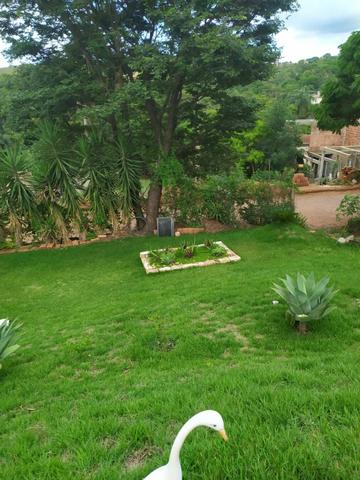 Vendo sítio em Varginha sete lagoas - Foto 2