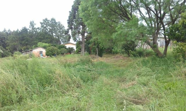 Terreno,chacara - Foto 4
