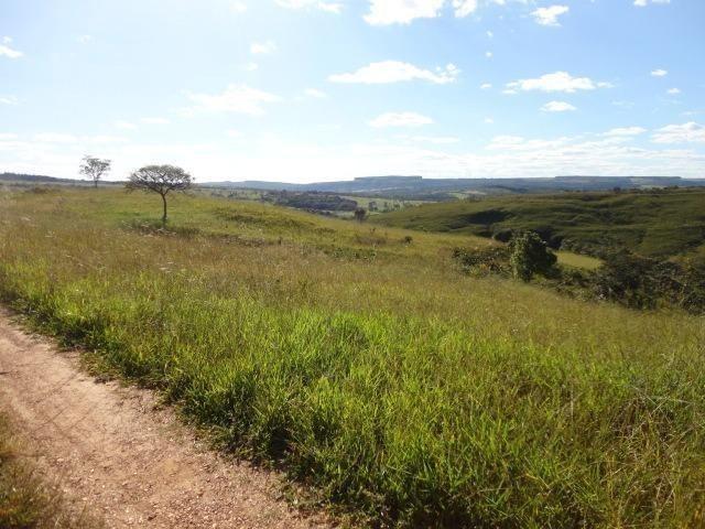 Fazenda Escriturada 90 Hect as Margens do Rio Areia Localizado Santo Antônio do Descoberto - Foto 2