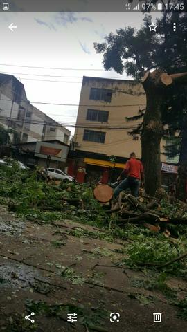 Trabalho com poda e retirada de árvore e remoção dos galhos de árvores - Foto 4