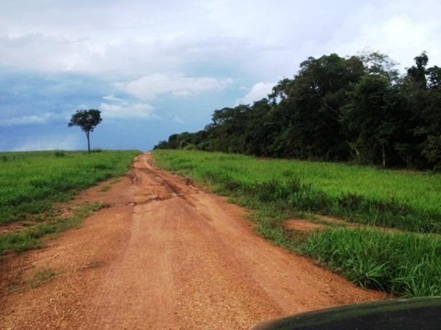 860 Alq. Pega 50% Imóveis Oferta Prazo C/ Entrada Guarani GO - Foto 12