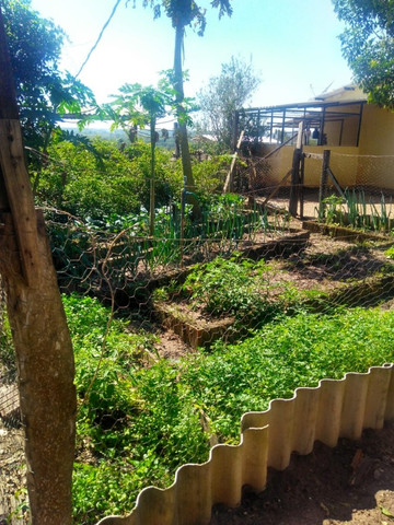 Linda Fazenda com 206 Hectares Campo Grande - Foto 17