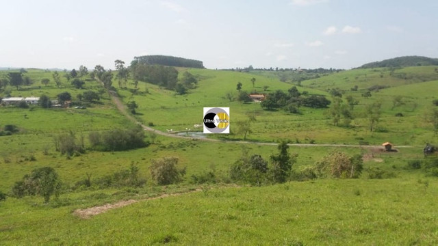 Vendo Excelente Sitio em Torre de Pedra ao lado Fazenda Sao Jorge - Foto 20