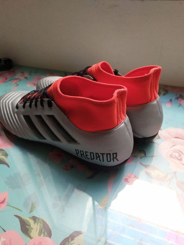 chuteira society adidas 44