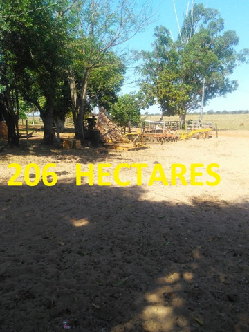 Linda Fazenda com 206 Hectares Campo Grande - Foto 20