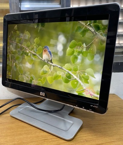 hp w1707 monitor price