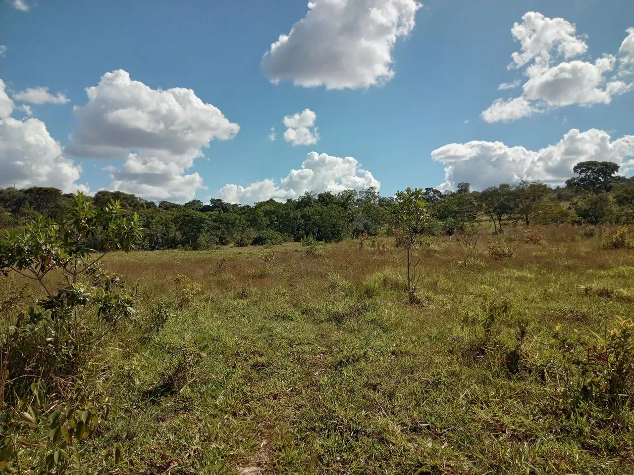 foto - Ribeirão das Neves - Jardim São Judas Tadeu (Justinópolis)