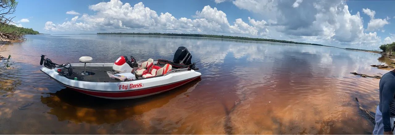 Lancha Bassboat  - Foto 8