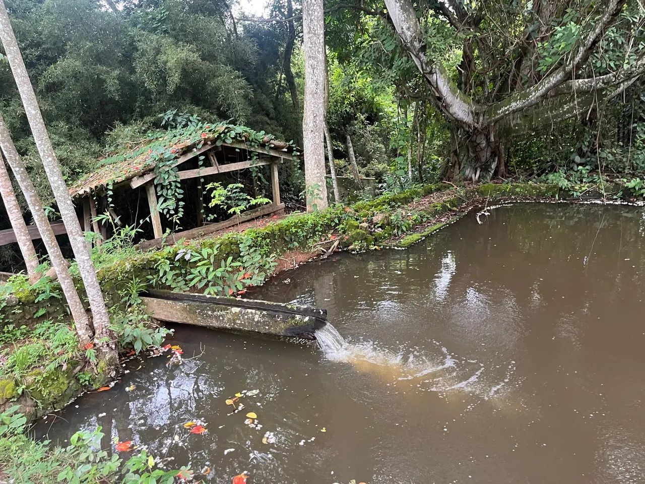 10,5 alqueire em Aragoiânia * - Foto 10