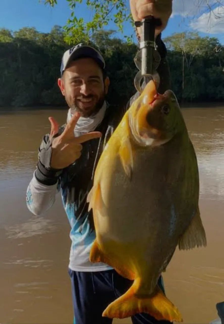 Pacu Caranha o melhor  - Foto 5