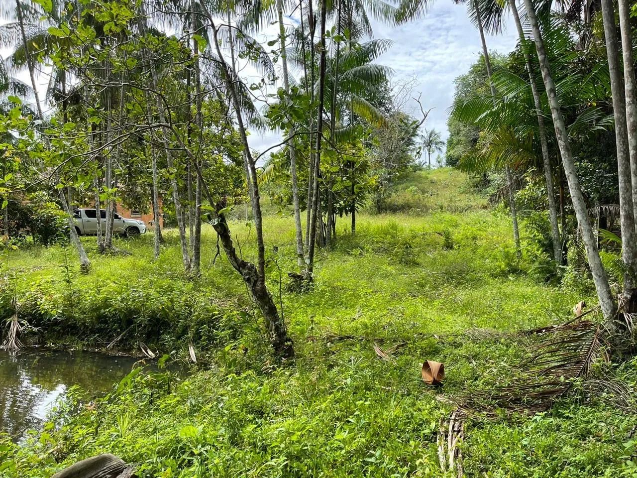 Sítio a venda  - Foto 5