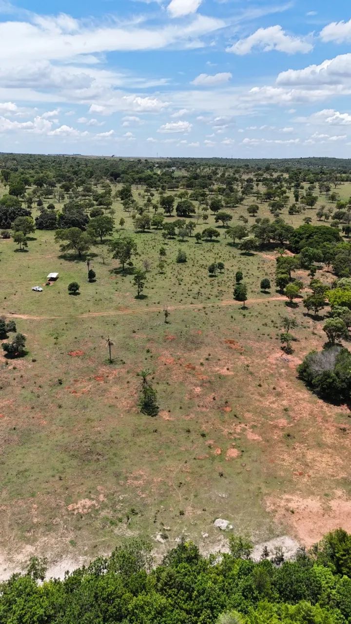 03 Chácaras Próxima a Campo Grande Juntas ou Separadas! - Foto 3