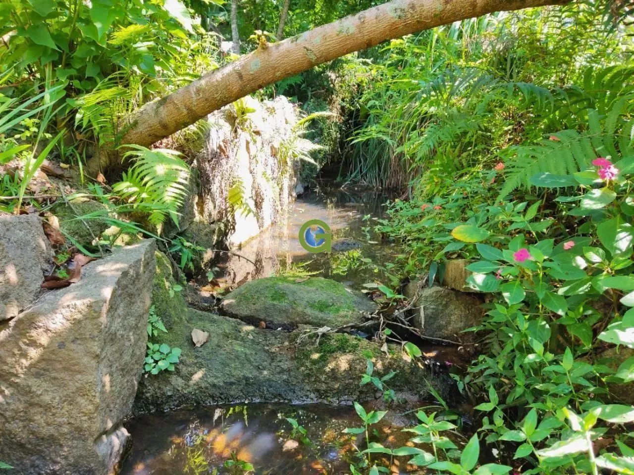 Terreno de 5.088 m² em Ratones  Natureza, tranquilidade e excelente localização - Foto 5