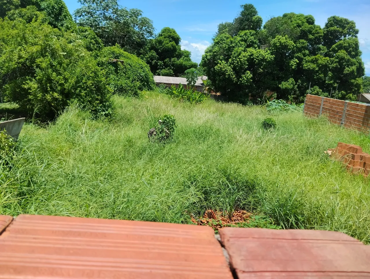 2 terreno
