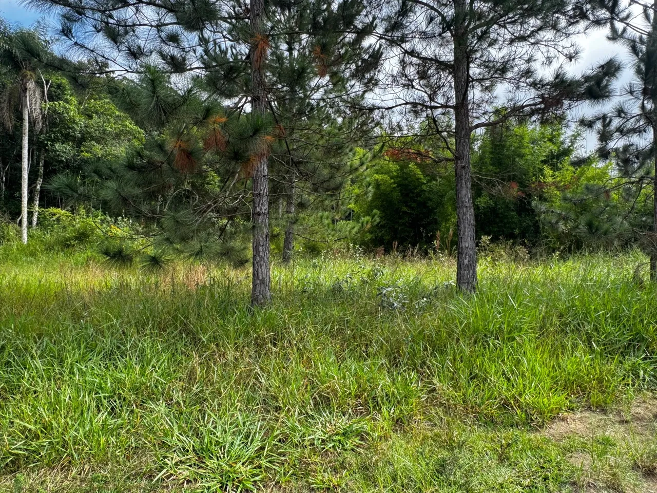Vendo Terreno em Guararema aceito carro na troca