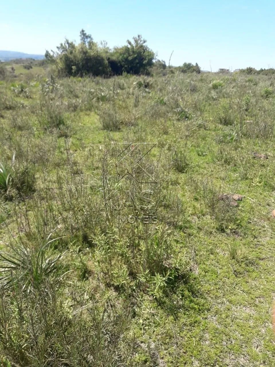 Área de terra à venda