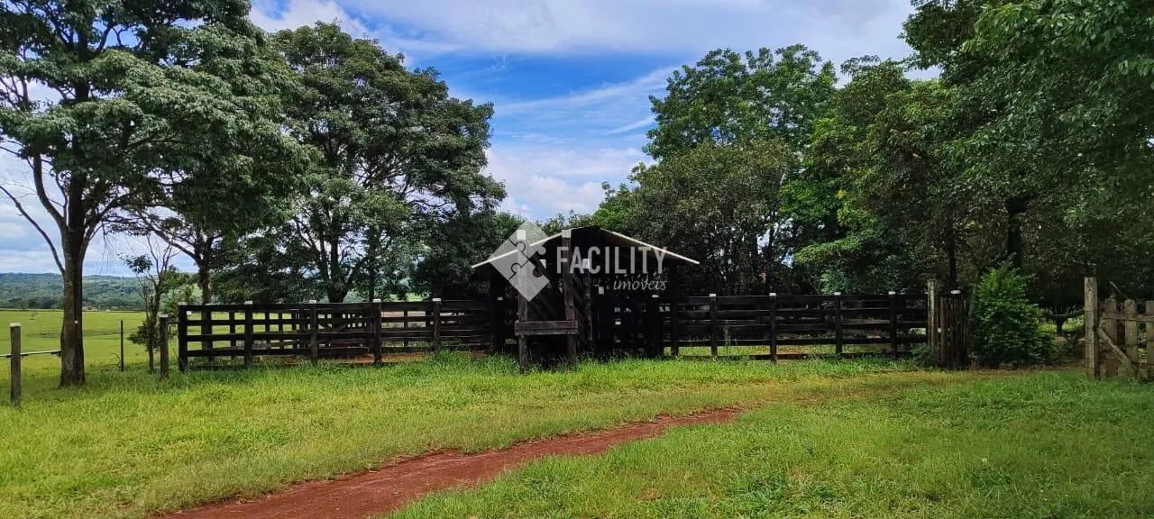Sítio no pasto em Itapetininga - SP - Foto 5