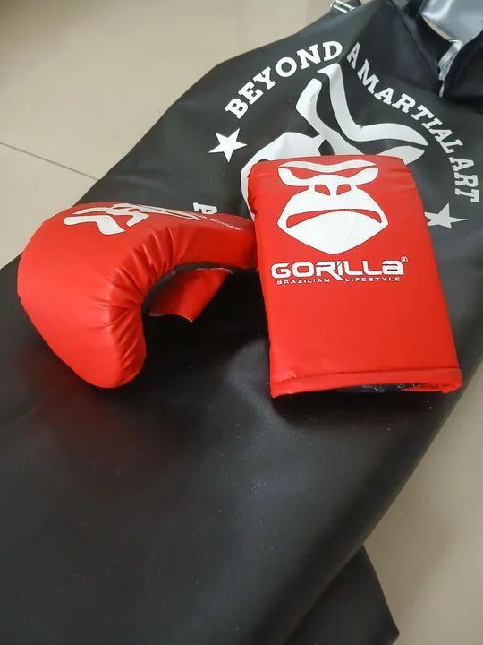 Saco de Pancada + Luva Infantil 