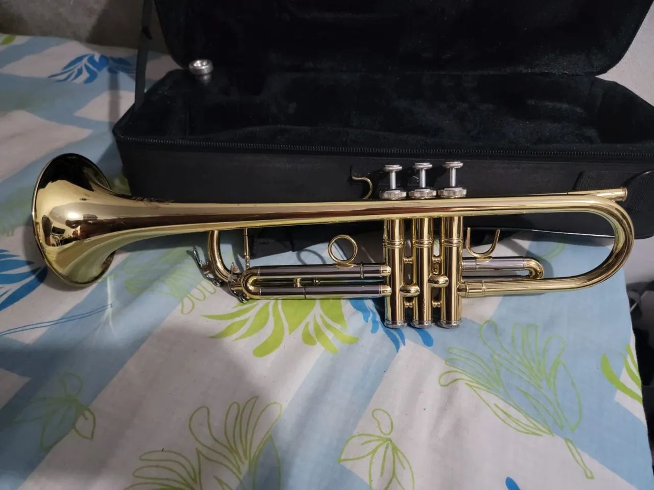 Trompete eagle - Foto 2