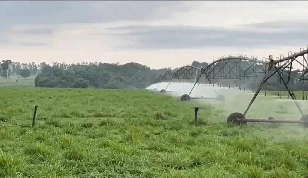 FAZENDA A VENDA abaixo do preço de mercado - Foto 2
