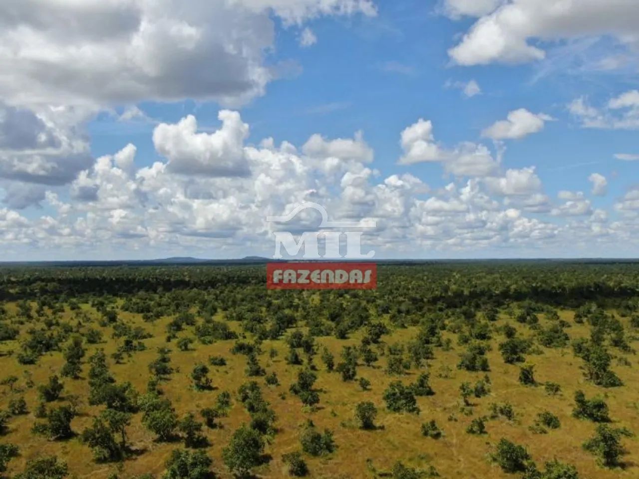 Fazenda de 785 alqueires (3800 hectares) em Cocalinho Mato Grosso