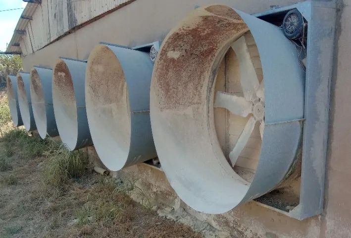 Equipamentos para granja de frango 125 x 12 - Foto 2