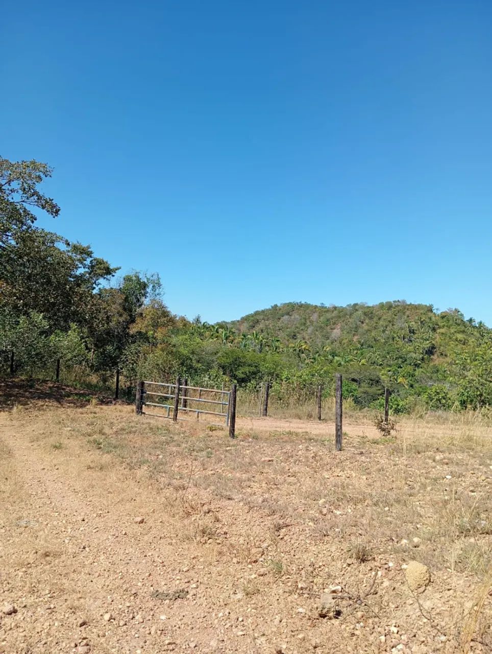 Fazenda 54 alqueires / Colmeia-To  - Foto 3