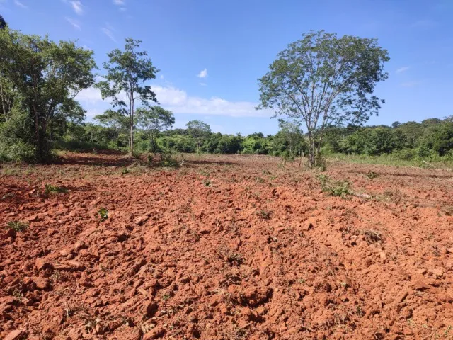 Fazenda Nossa Senhora da Conceição | Descoberto - (Entre DIANOPÓLIS E NOVO JARDIM)