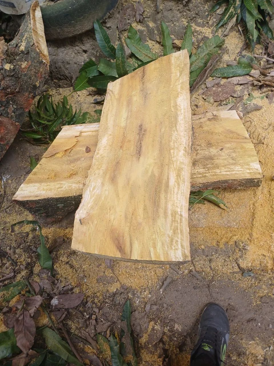 Tronco bruto de 3 metros  - Foto 2