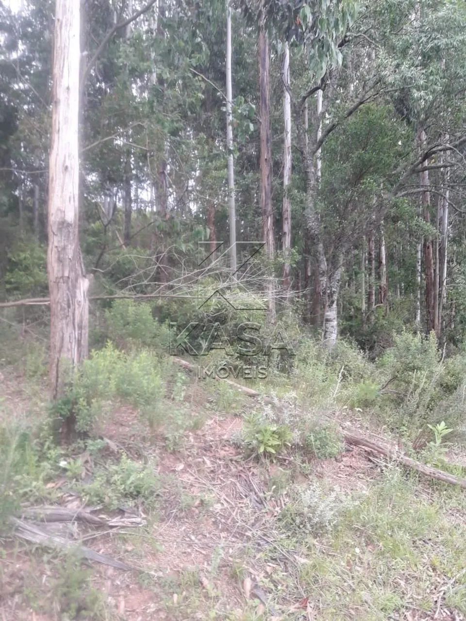 Área de terra à venda - Foto 2