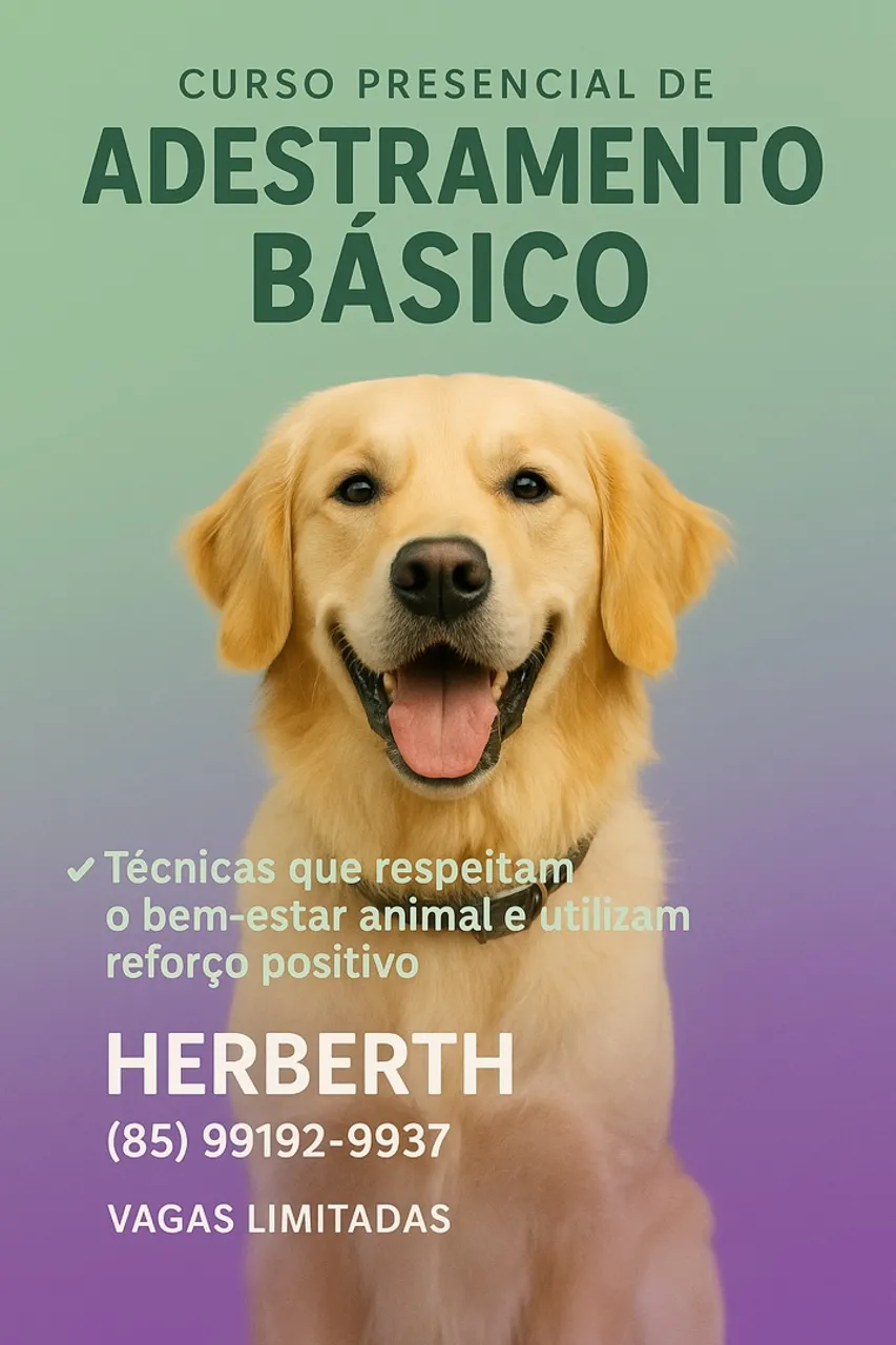 Curso de Adestramento Básico - Herberth