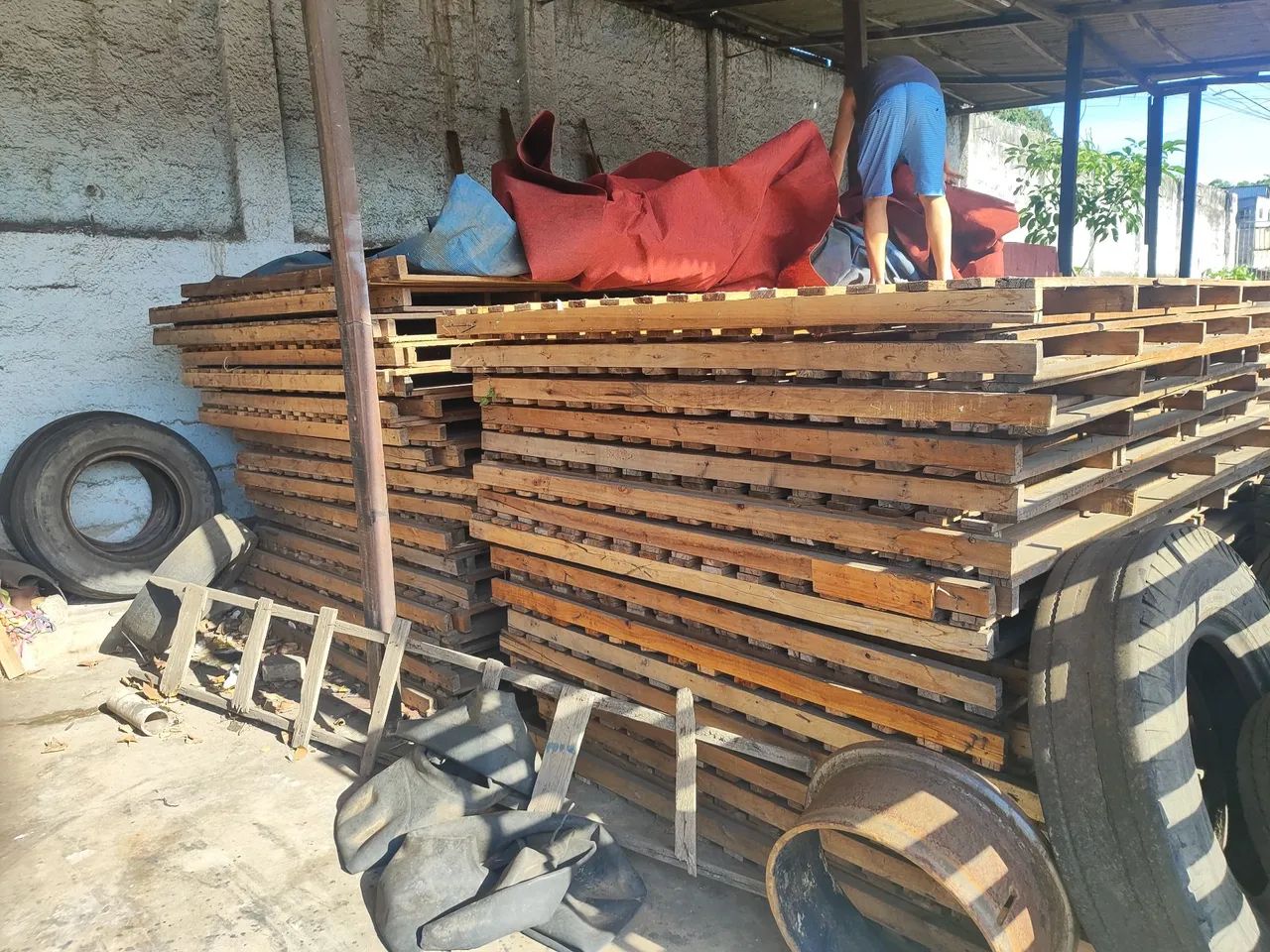 PALETES  MADEIRA - Foto 4