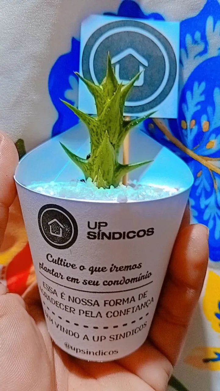 Lembrancinhas para eventos  - Foto 3